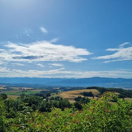 Chambre Double En Pleine Nature "La Clairiere De L'Ange" Peyrins Exteriör bild