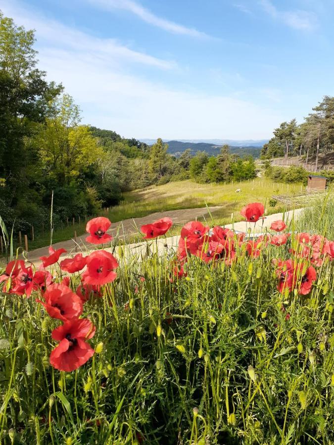 Chambre Double En Pleine Nature "La Clairiere De L'Ange" Peyrins Exteriör bild